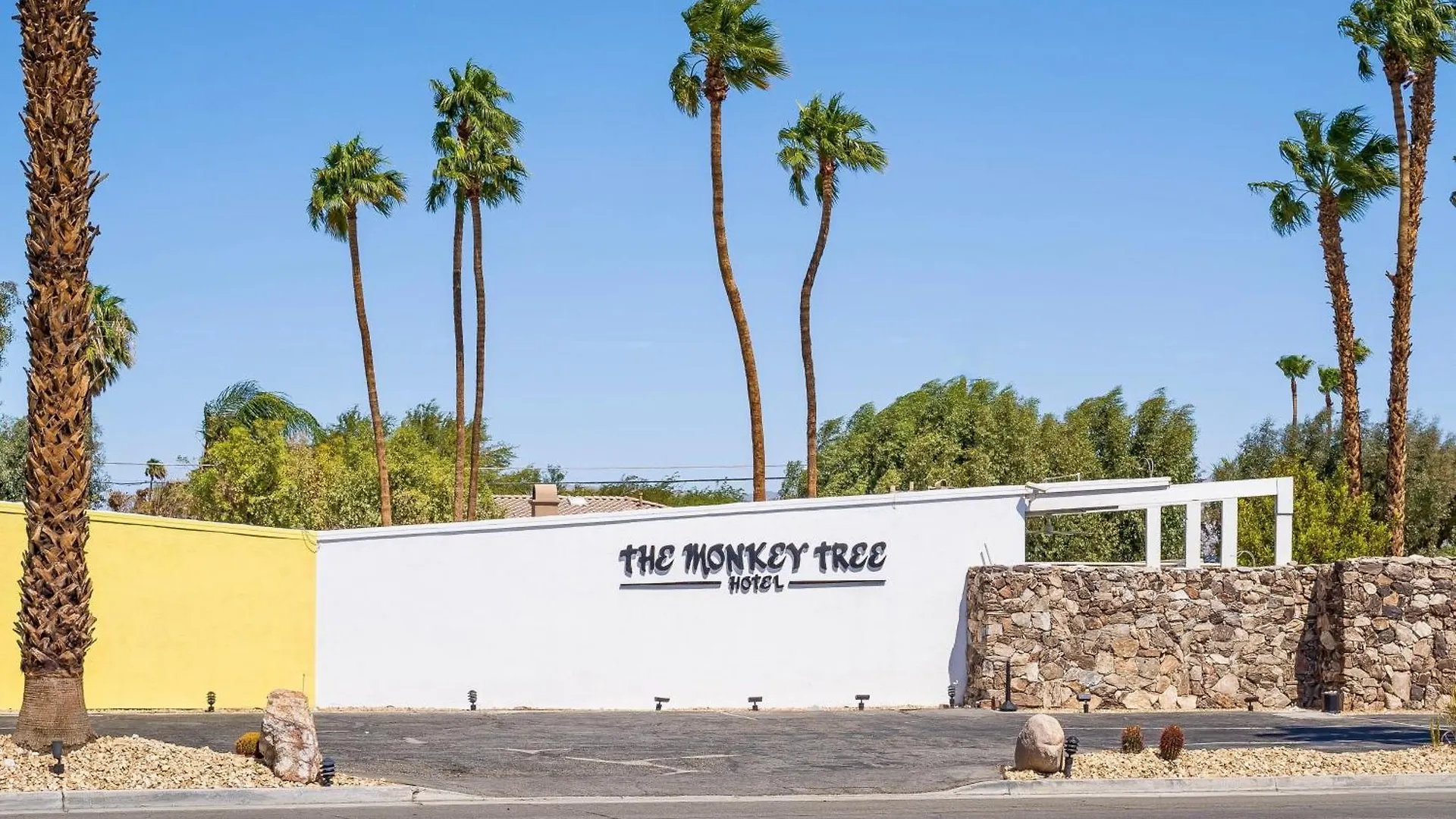 The Monkey Tree Hotel Buyout By Avantstay Entire Hotel Buyout Funky Rooms W Modern Amenities بالم سبرينغس