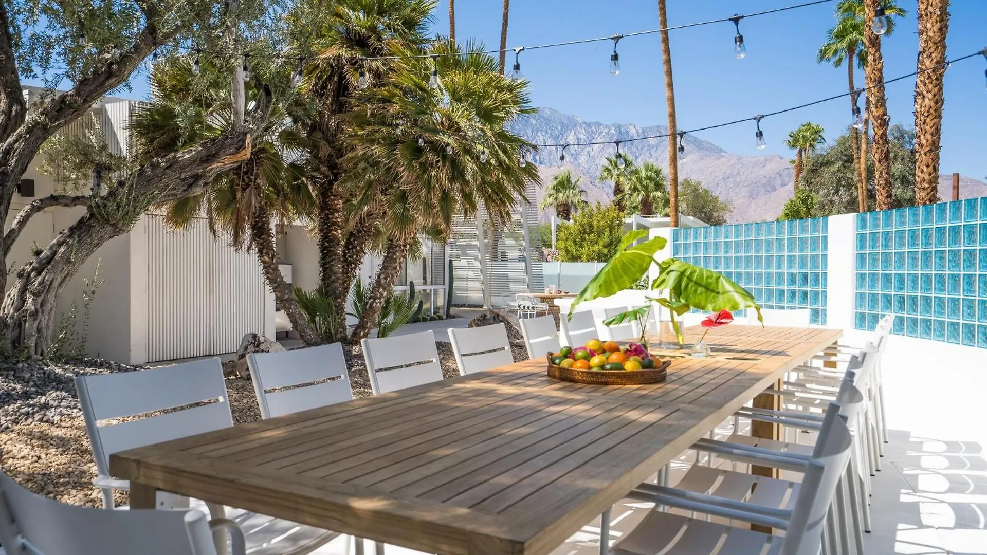 The Monkey Tree Hotel Buyout By Avantstay Entire Hotel Buyout Funky Rooms W Modern Amenities بالم سبرينغس